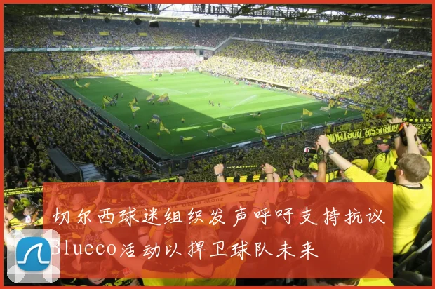 切尔西球迷组织发声呼吁支持抗议Blueco活动以捍卫球队未来