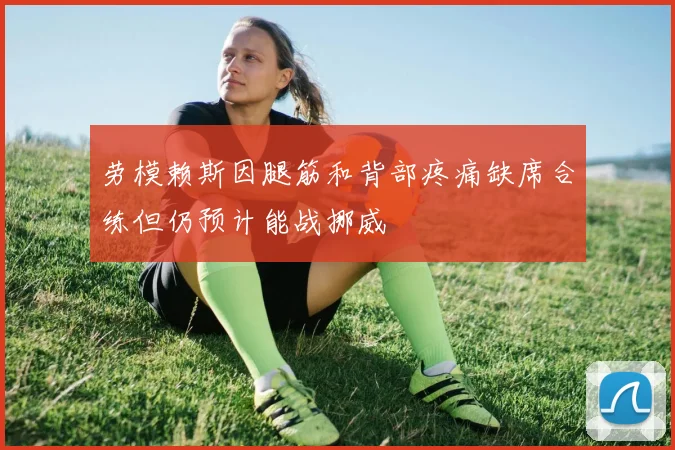 劳模赖斯因腿筋和背部疼痛缺席合练但仍预计能战挪威